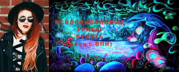 дмт Дмитровск
