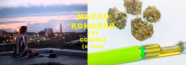 дмт Дмитровск