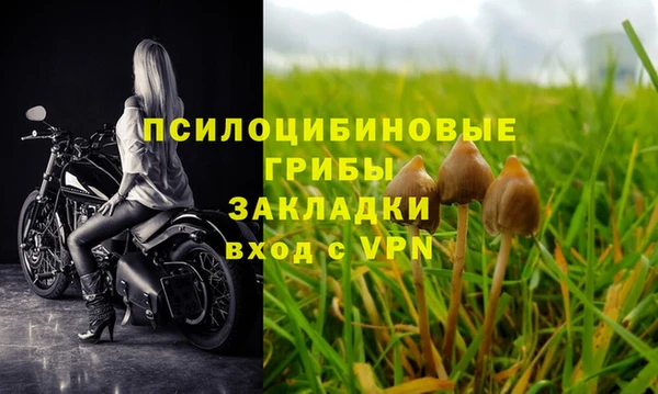 эйфоретик Дмитриев