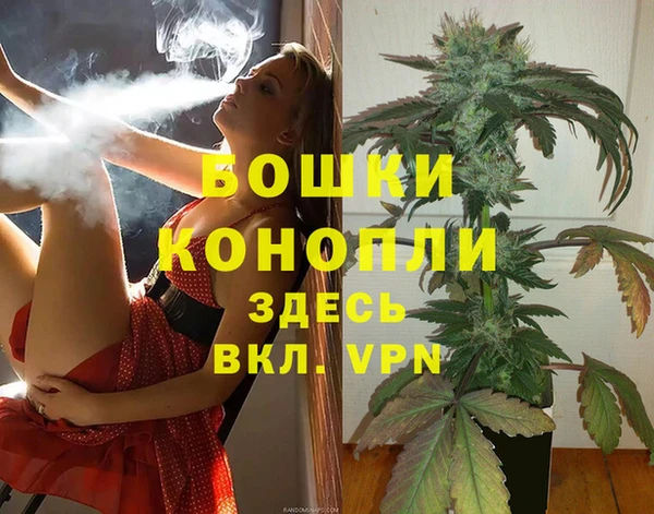 дмт Дмитровск