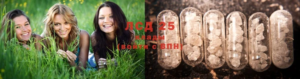 дмт Дмитровск