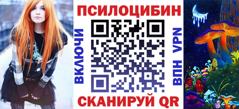 закладки  Светогорск  Галлюциногенные грибы Psilocybine cubensis 